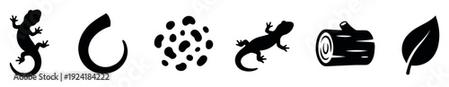 Various black silhouette nature icons including lizards, a curved shape, irregular spots, a log, and a leaf, rendered with a clean, minimalist graphic design