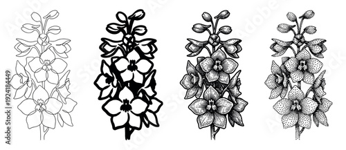 Four stylized black and white flower illustrations showcasing diverse artistic techniques from minimalist line art to intricate engraving and stipple patterns, creating a botanical design collection