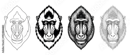 Four distinct black and white mandrill head illustrations showcasing various artistic styles including outline, solid graphic, detailed hatching, and stippling techniques, presented in a row