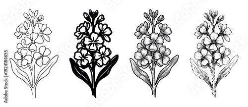 Four distinct black and white floral illustrations showcase a blooming flower stalk in various artistic styles, including continuous line, solid silhouette, detailed engraving, and stipple art