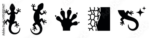Black gecko lizard silhouette icons illustrate various poses, a detailed paw, skin texture, and a clean reptile symbol in a graphic style