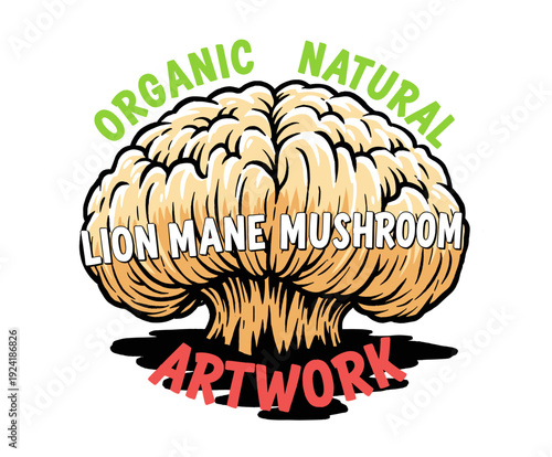 Lion mane mushroom artwork design. Organic natural superfood illustration. Medicinal mushroom graphic print. Healthy food drawing for apparel. Natural