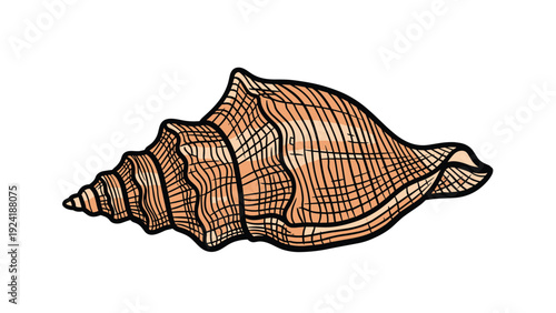 Detailed illustration of a large conch shell features intricate line work and natural peach tones in a coastal themed style.