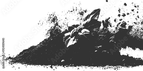 Dark silhouette of basil leaves emerging from soil with scattered dirt particles