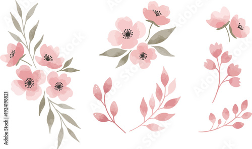 Watercolor pink flowers and leaves on white background in soft romantic style for wedding or feminine design