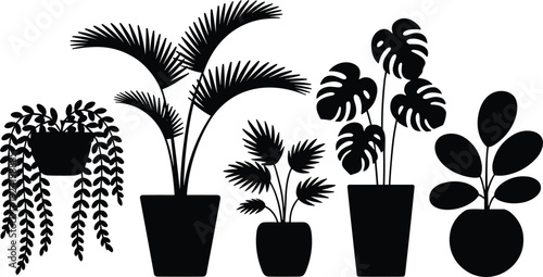Indoor houseplant silhouette collection with tropical palm, monstera and hanging plants, black vector illustration set isolated on white background for home decor design