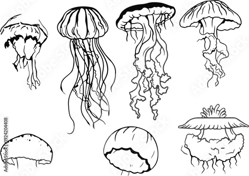Black and white jellyfish vector illustration collection, marine life sketch set, abstract sea creatures artwork, underwater ocean design, biological drawing reference