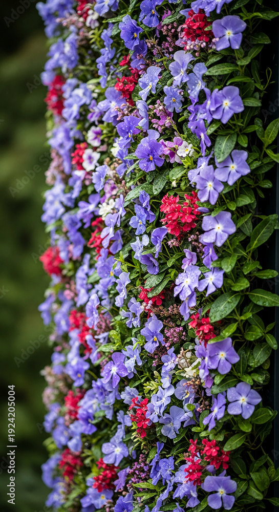 Obraz premium Close-up of vertical flower arrangement with mixed blue, red, and purple blossom, representing freshness, vitality, and natural beauty for garden design