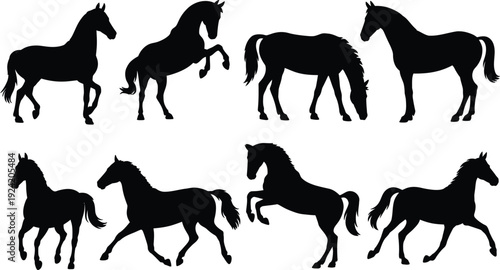 Black horse silhouettes collection, standing, rearing, walking, trotting, galloping, equestrian poses, animal vector art, decorative design, isolated shapes, creative illustration