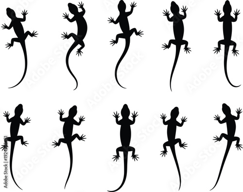 Black lizard silhouettes climbing, reptile vector illustration, gecko poses, animal design elements, wildlife pattern, exotic creatures, tail variations, climbing reptiles artwork