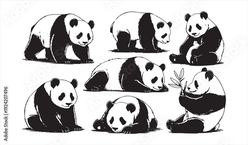 Cute Panda Wildlife Icon Set Isolated on White