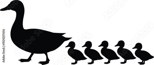 Mother Duck with Ducklings Silhouette, Family of Waterfowl Walking in Line Isolated on White Background, Black Vector Illustration for Nature and Farm Design