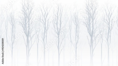A forest of bare trees in a foggy landscape.