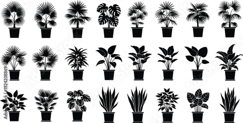 Black and white vector illustration set of various potted houseplant silhouettes featuring palm trees monstera leaves and indoor decorative plants.