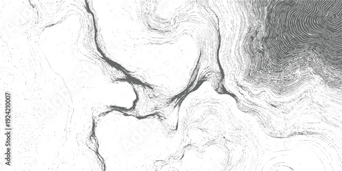 Abstract topographic map lines and dots forming swirling patterns in grayscale topography