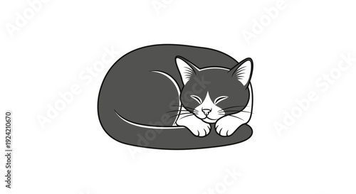 Sleeping cat illustration in grayscale on white background minimal design