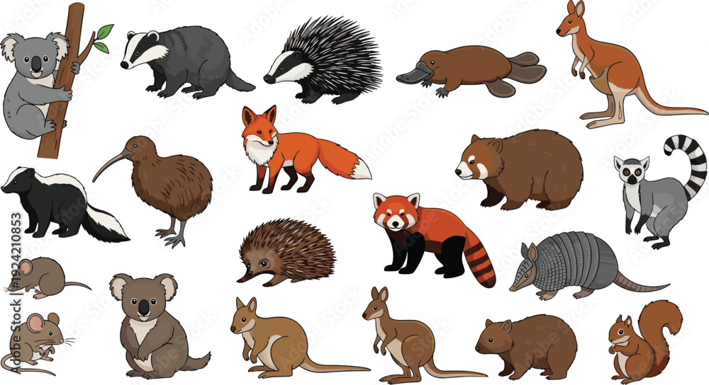 Obraz premium Cartoon animals collection featuring koala, kangaroo, platypus, red panda, fox, kiwi bird, bear, squirrel, mouse, armadillo, skunk, wombat, playful wildlife illustration