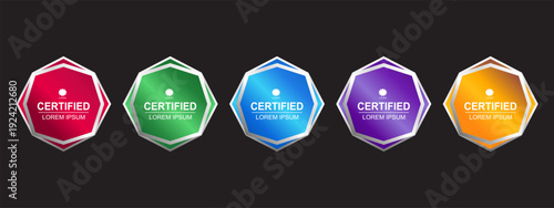 Premium Certificate Badge Hexagon Template Vector Illustration