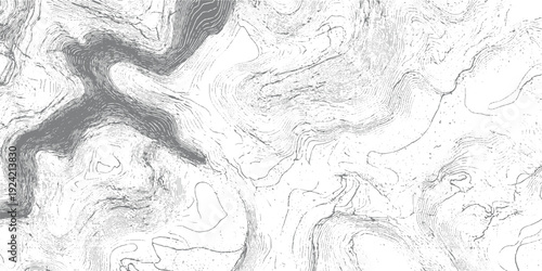 Abstract topographic map contour lines with gray water body and white background topography