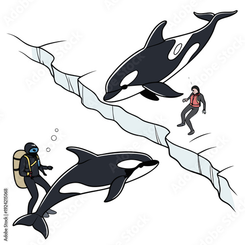 Scuba diver and woman on ice with orcas arctic