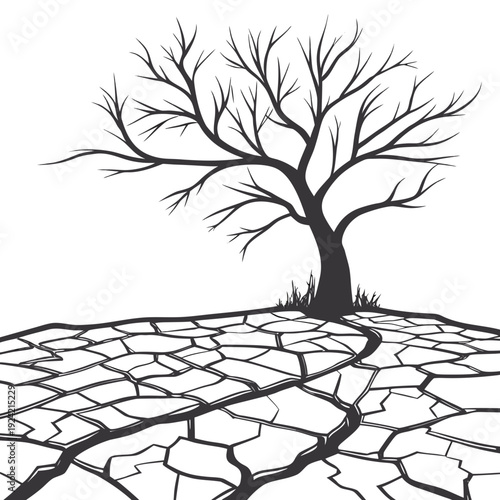 Barren tree on cracked dry earth cracked earth landscape