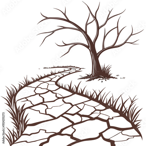 Dry cracked earth path leading to bare tree drought
