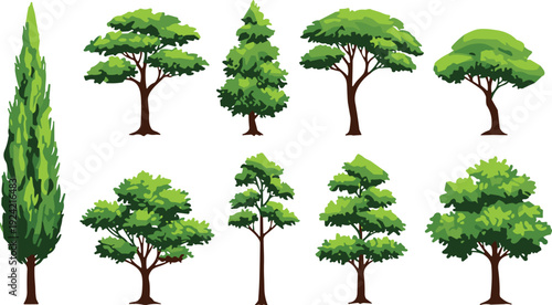 Collection of stylized tree illustrations with diverse foliage patterns and trunk designs, perfect for botanical studies, educational materials, eco projects, and creative design references