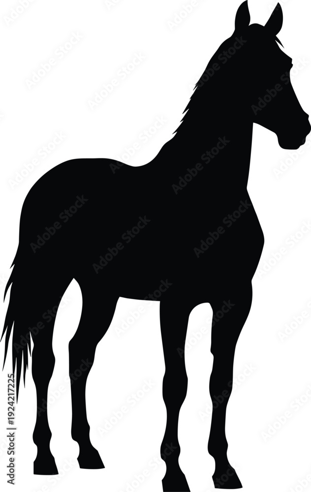 Obraz premium Black vector silhouette of a majestic horse standing in profile with a long mane and tail for equestrian sports nature and farm branding