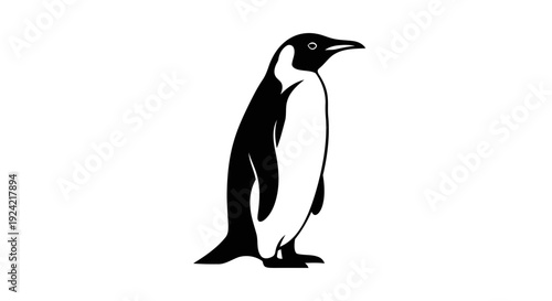 Penguin Standing Minimal Line Art – Black Outline Full Body Wildlife Vector Illustration Clean Silhouette