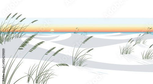 A peaceful coastal landscape features white sand dunes and green sea oats overlooking a calm ocean during a sunset.