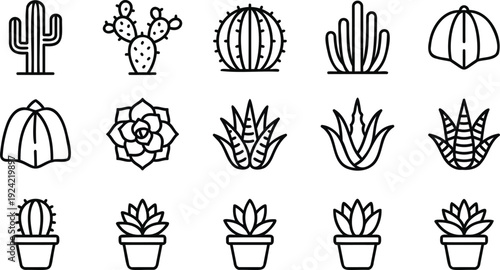 Collection of cactus and succulent plants in pots vector illustration flat design