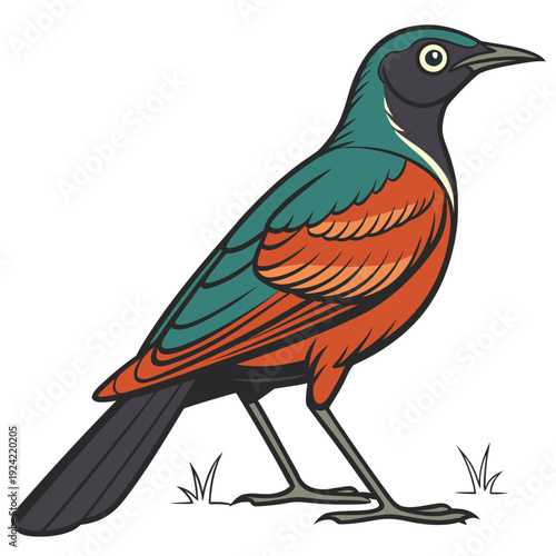 Colorful bird with green and orange feathers standing on ground