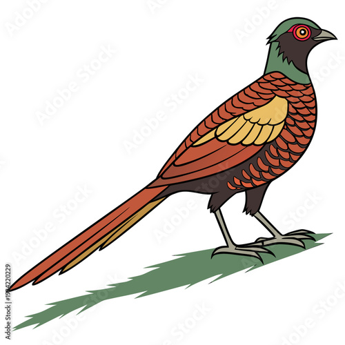 Exotic ground bird with green head and brown orange feathers