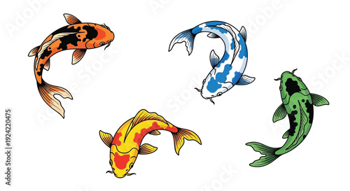 Four colorful koi fish swim in a dynamic swirling arrangement