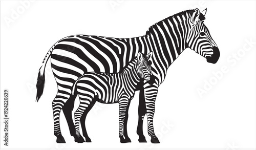 African Zebra Mother and Baby Foal Silhouette Illustration