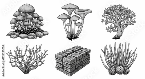 Biological specimen collection of various fungi mushrooms coral and stone brick wall isometric perspective