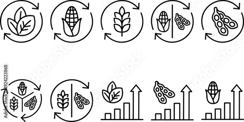 Crop Rotation Agricultural Practice