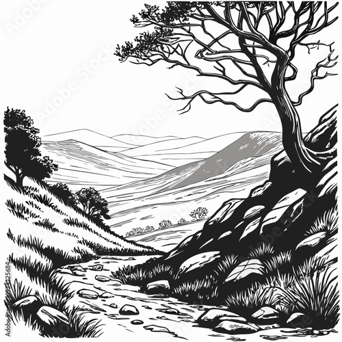 Black and white of a tree on a rocky hillside overlooking rolling hills