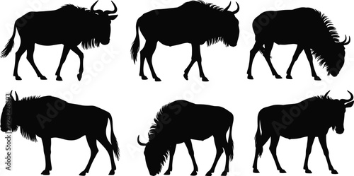 Black Wildebeest Silhouette Vector Set Featuring Gnu in Various Poses Like Walking and Grazing for African Safari Themes Nature Conservation and Wildlife Education