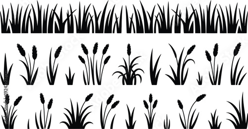 Black grass and reed plant silhouettes set for nature decoration