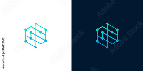 Abstract geometric logo design with connected dots forming the letter S in blue and green gradients on white and dark backgrounds