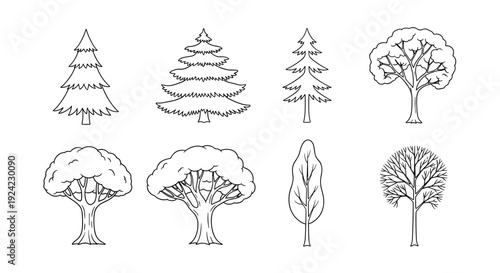 Collection of various tree silhouettes including pine oak and deciduous species hand drawn vector sketches