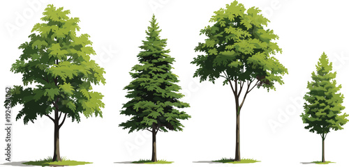 Realistic green trees vector illustration set, deciduous and evergreen forest trees isolated on white background, detailed natural landscape elements collection