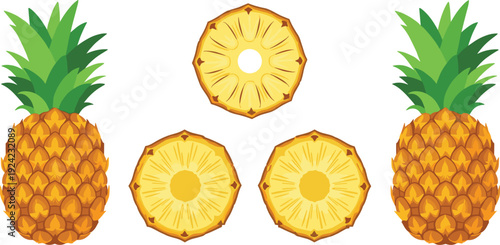 Vector collection of fresh whole pineapples with green leaves and sliced round pieces isolated on white background for healthy food nutrition summer tropical fruit and organic juice design.