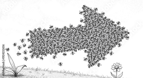 Detailed black and white ink drawing shows a large swarm of honeybees flying together to form an arrow pointing to the right.