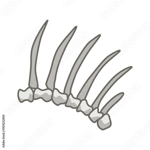 Dinosaurs skeletons parts underground. Fossils, bones of prehistoric reptiles and ammonites