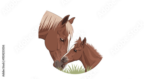 Beautiful illustration of a gentle mare nuzzling her adorable foal in a tender moment of motherly love and affection against a clean white background.
