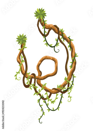 Liana branch. Twisted wild jungle vine plants. Woody natural tropical rainforest, exotic botany element. Vector design element