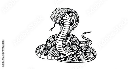 Menacing king cobra is coiled and ready to strike with its hood spread and fangs bared in a detailed black and white tattoo-style illustration.