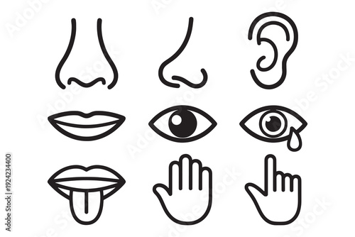 Human five senses line icon set with nose, ear, eye, mouth, tongue and hand symbols for education and medical design